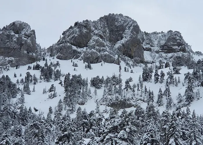 Le Casalandre 阿赫特